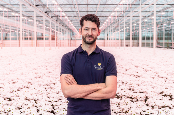 Chrysantenkweker Fred van Paassen over bloemengaas op 55.000 vierkante meter