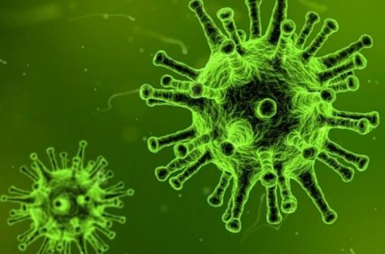 Wat is het verschil tussen een bacterie en een virus?