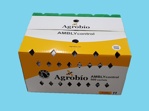 AMBLYcontrol [500 zakjes zonder haak] (AB1) (N. cucumeris)