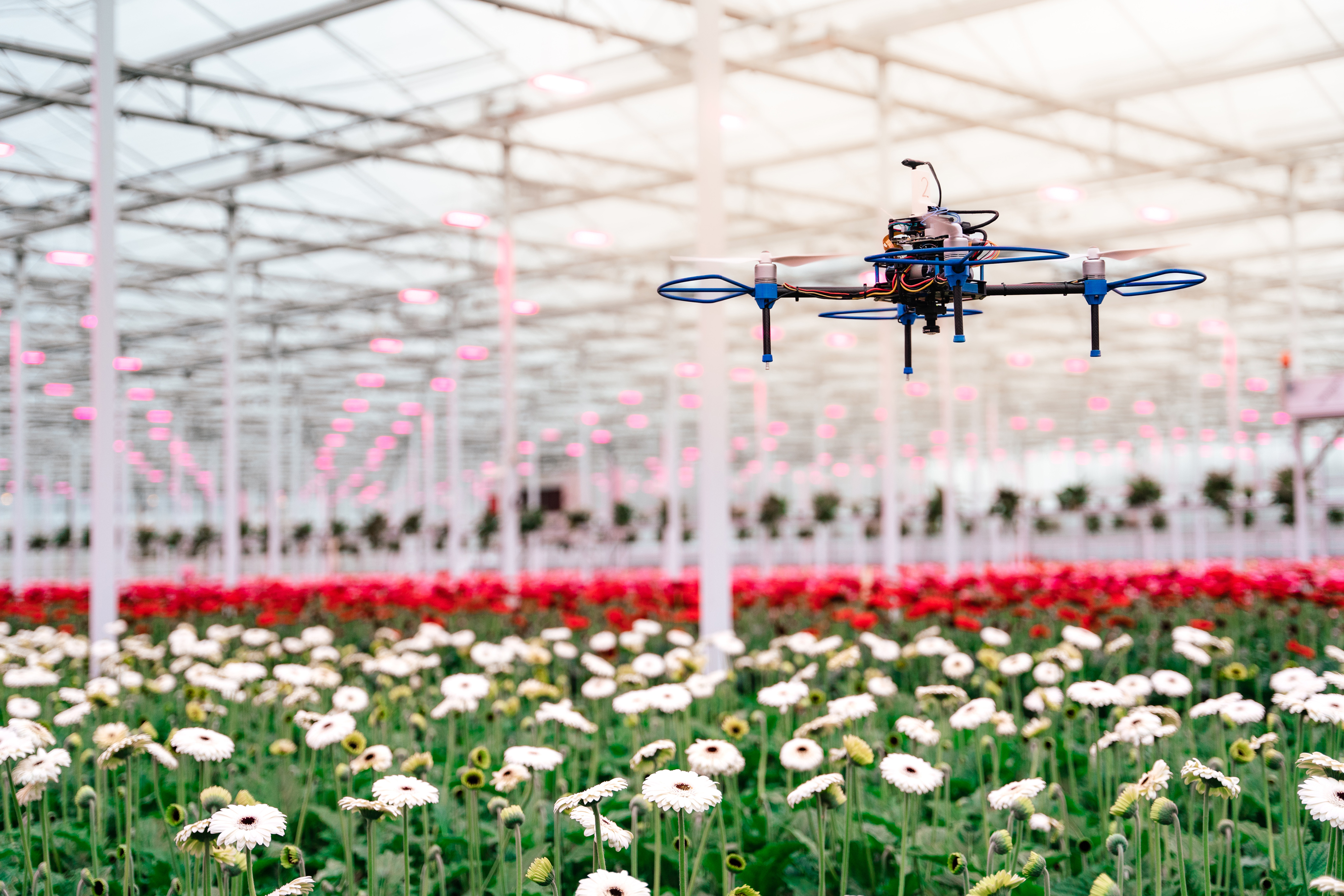 Autonome drone scandr. vliegt tijdens Kom in de Kas bij Gerbera United