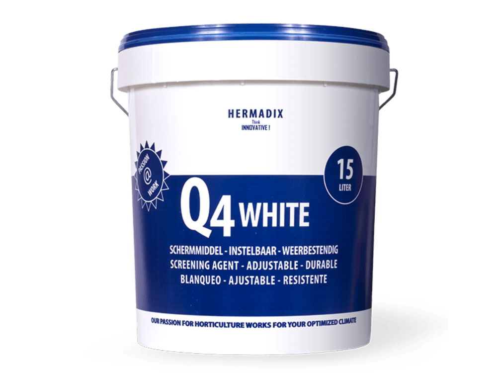 Q4 White