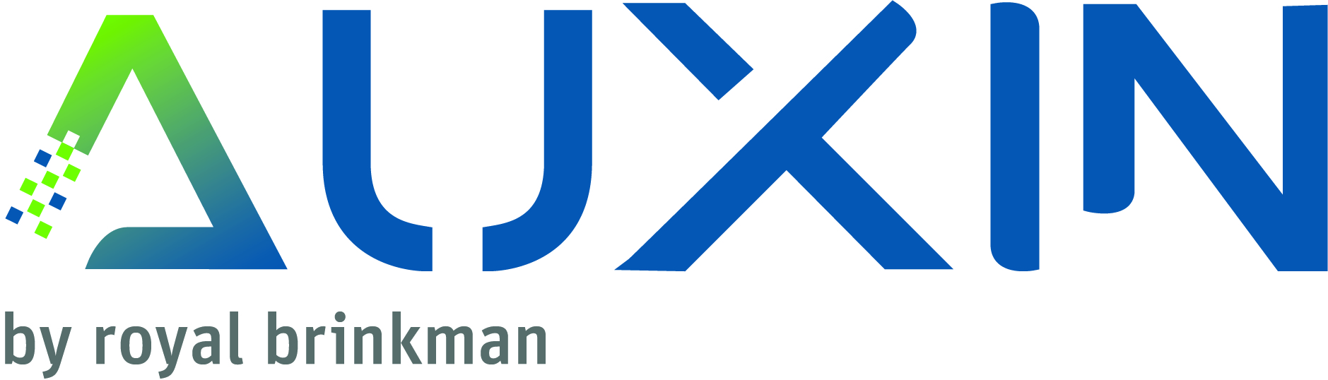 Auxin logo by Royal Brinkman