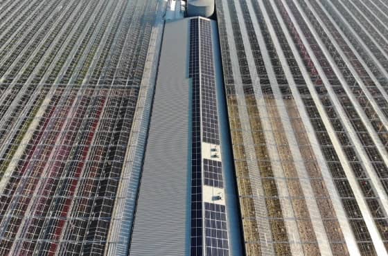 Energie besparen met zonnepanelen in de glastuinbouw