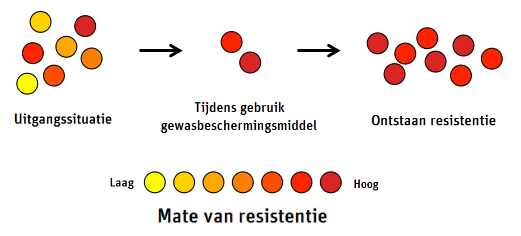 Tabel voor resistentie gewasbeschermingsmiddelen