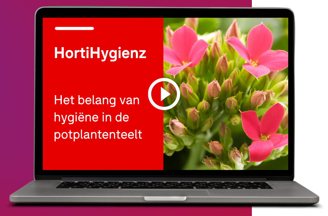 Webinar 'Belang van hygiëne in potplanten'