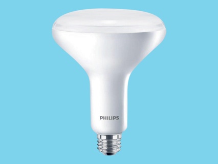 Philips Greenpower LED flowering DR/W/FR 9,3watt