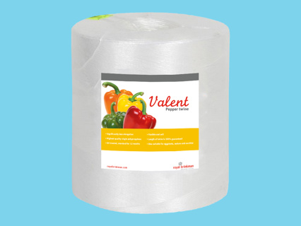 Valent Pepper touw 1/1500 wit 6kg