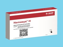Nemasys H [250 miljoen] (Heterorhabditis bacteriophora)